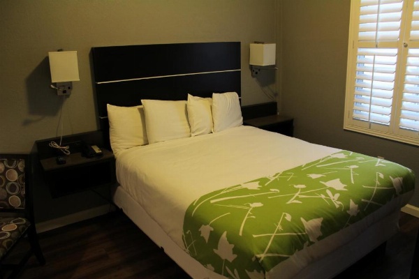 Layne Hotel image 23